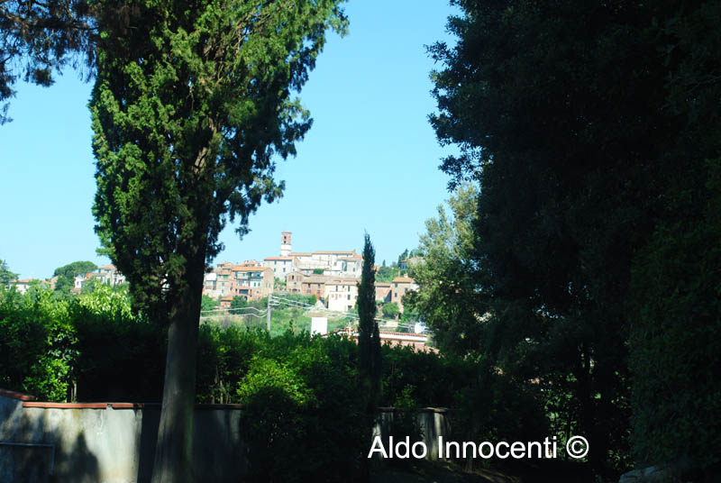 MORRONA: PANORAMA 2' IMMAGINE
